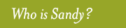 Who is Sandy?